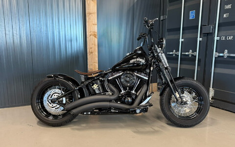 FLSTSB Crossbone 2010 'Vivid Voltage' Custom