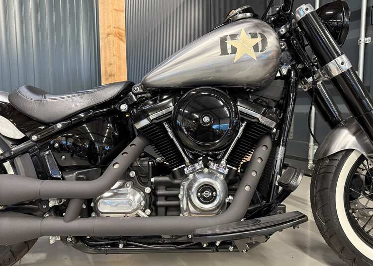 FLS Softail Slim 2021