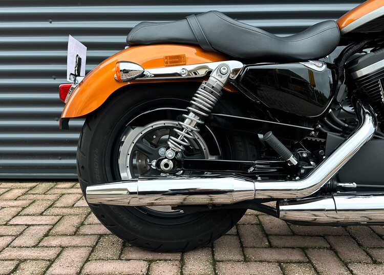 Sportster XL1200C Special 2016