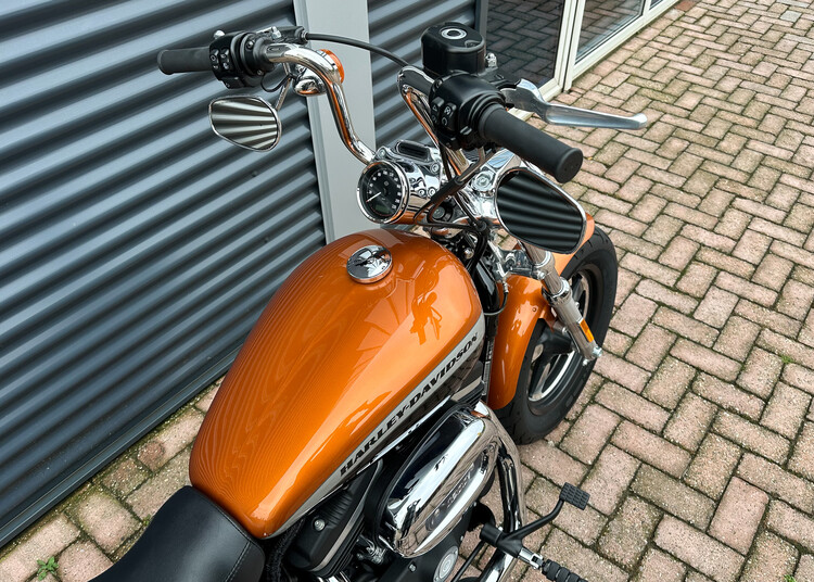 Sportster XL1200C Special 2016