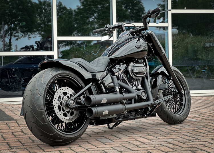 Fatboy 2024 FLFBS Custom