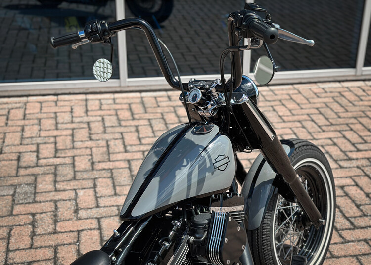 Custom Nardo Bobber Softail