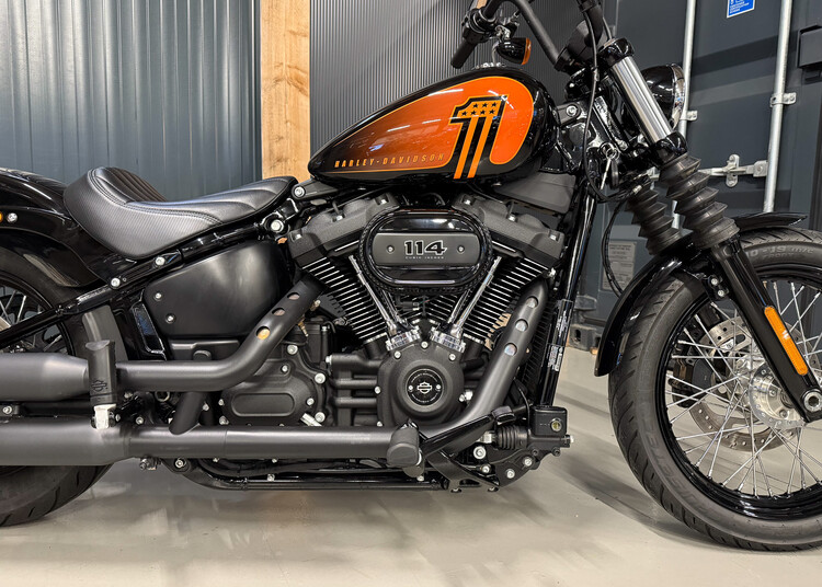 FXBB Street Bob 2021