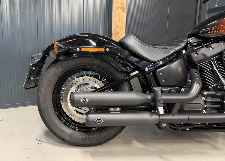 FXBB Street Bob 2021